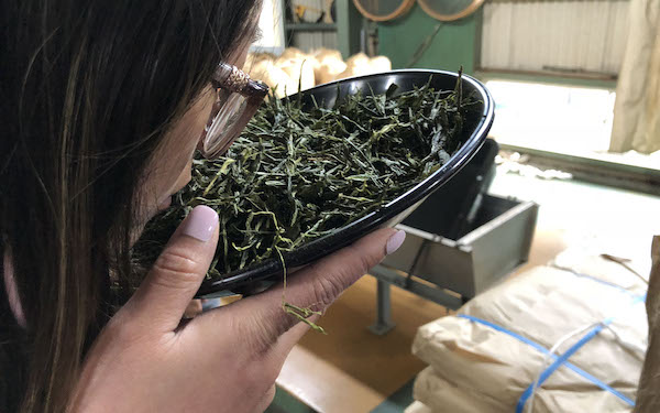 GALLERY Shusuien Tea Farm 2