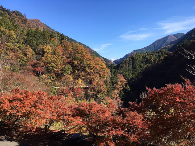 Autumn Hike In Okutama Heartland Japan