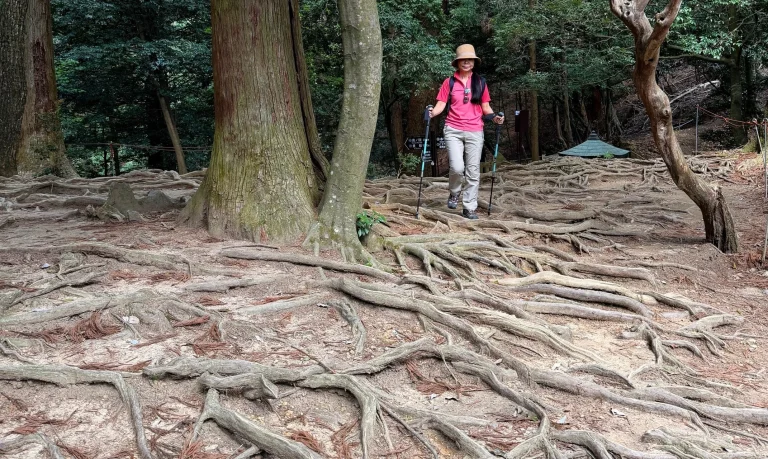 Where Tengu Dare – Hiking the Kurama Traverse