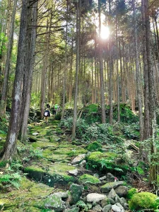 iseji-road-sun-sacred-sea-day3-yakiyama-toge-01