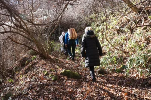 koshu-retreat-earth-sky-day2-barefoot-forest-walk-11