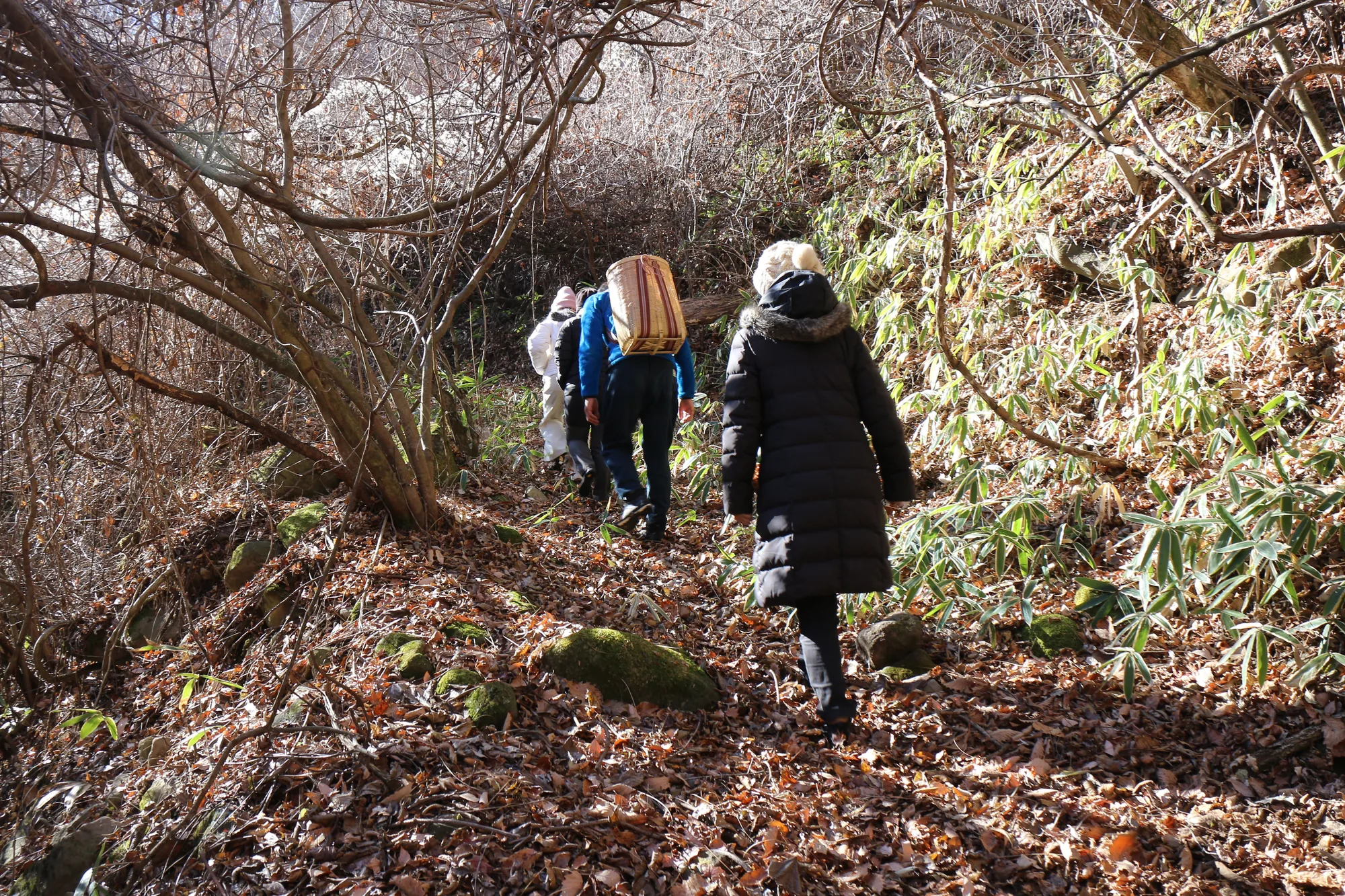 koshu-retreat-earth-sky-day2-barefoot-forest-walk-11