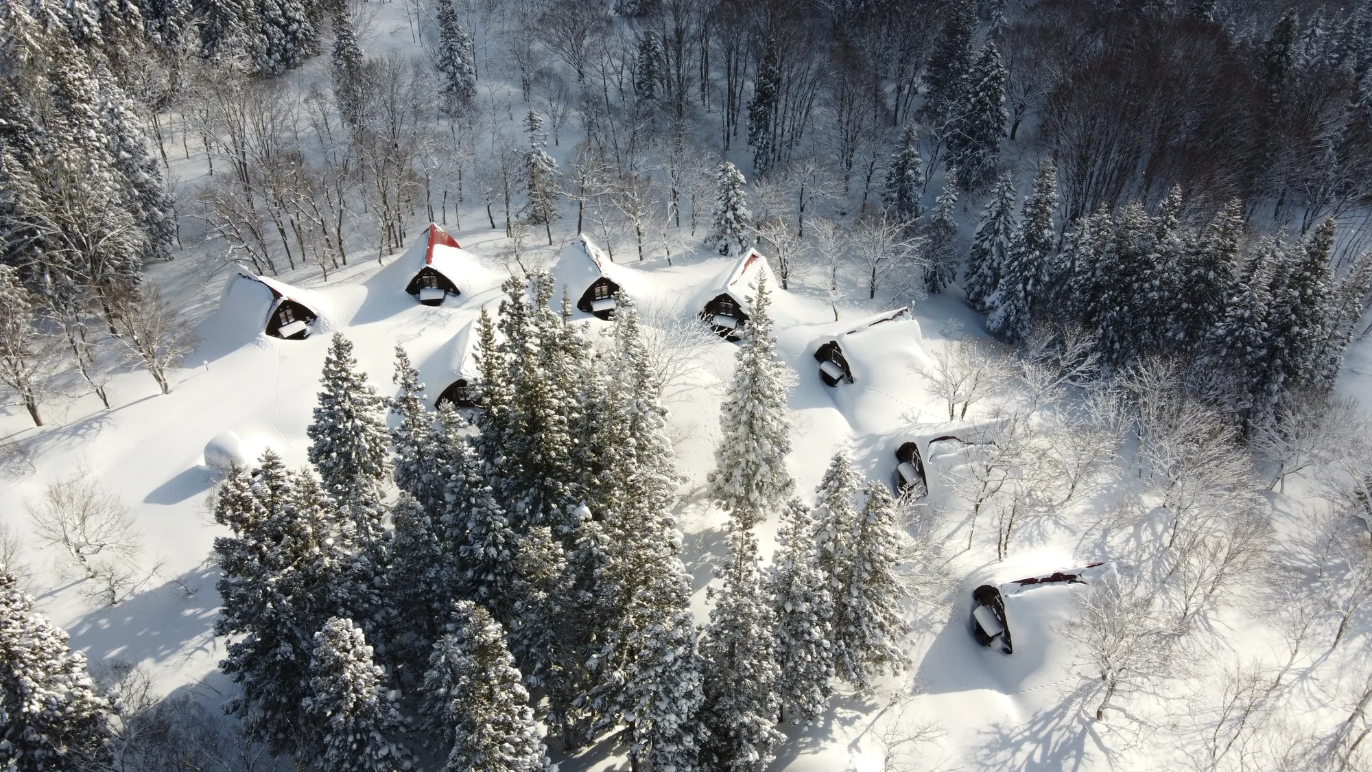 nagano-snow-nabekura-morinoie-01