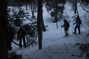 nagano-snow-nabekura-night-snowshoe-04