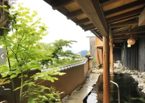 nagano-snow-shiga-issa-komichi-01