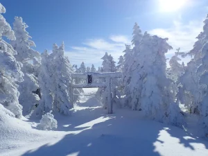 nagano-snow-shiga-yokoteyama-01