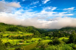 shikoku-cycling-scenic-mountain-day1-day-1-tanada-01