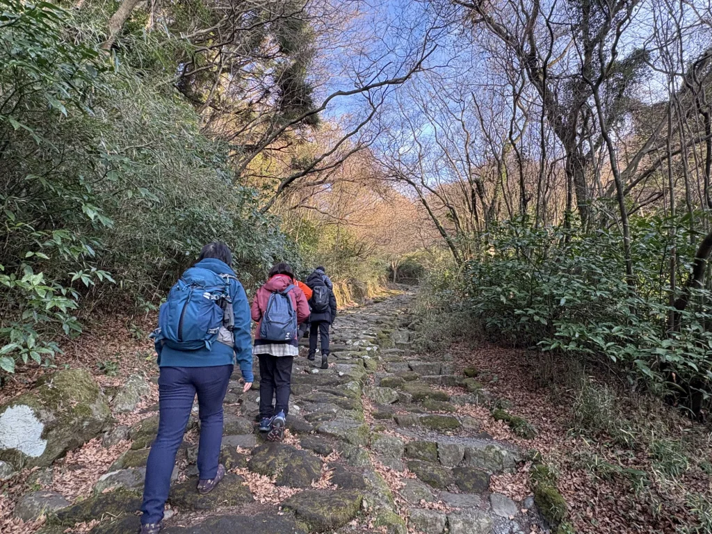 Discover the Soul of Japan through Tokyo, Hakone, Kyoto & Timeless Trails