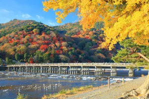 hj-kyoto-cycling-golden-pavilion-geisha-day1-03-togetsukyo-bridge