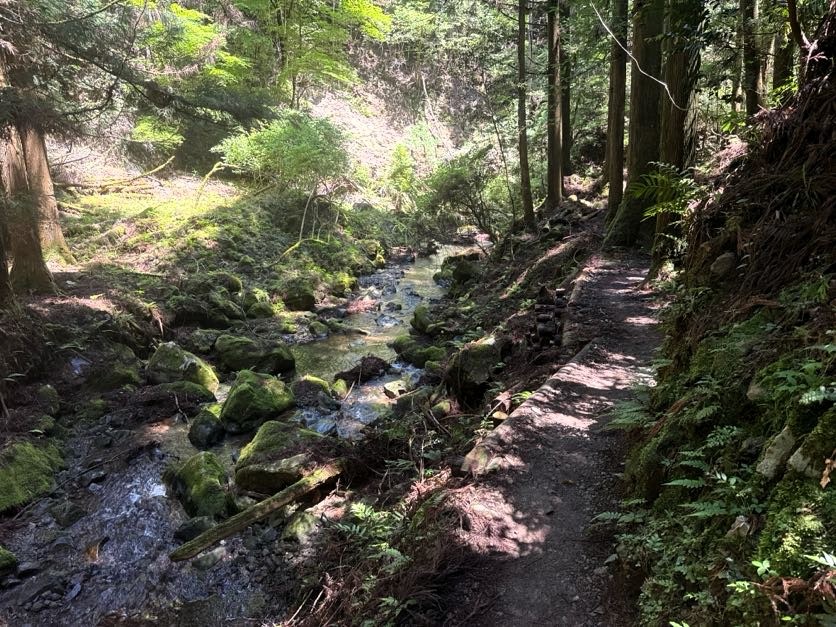 A narrow forest path following a mountain stream on the Kumano Kodo Nakahechi route