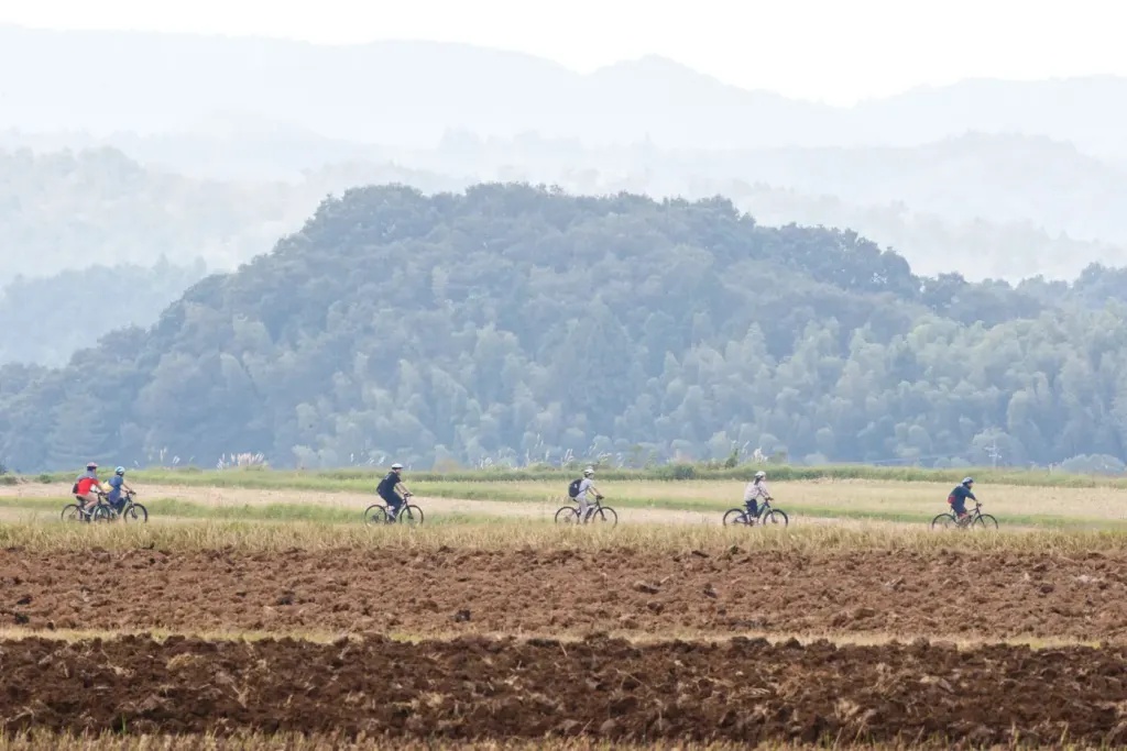 Cyclists riding a path between fields with wooded hills behind, near Hagi