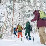 japan winter snowshoe forest group