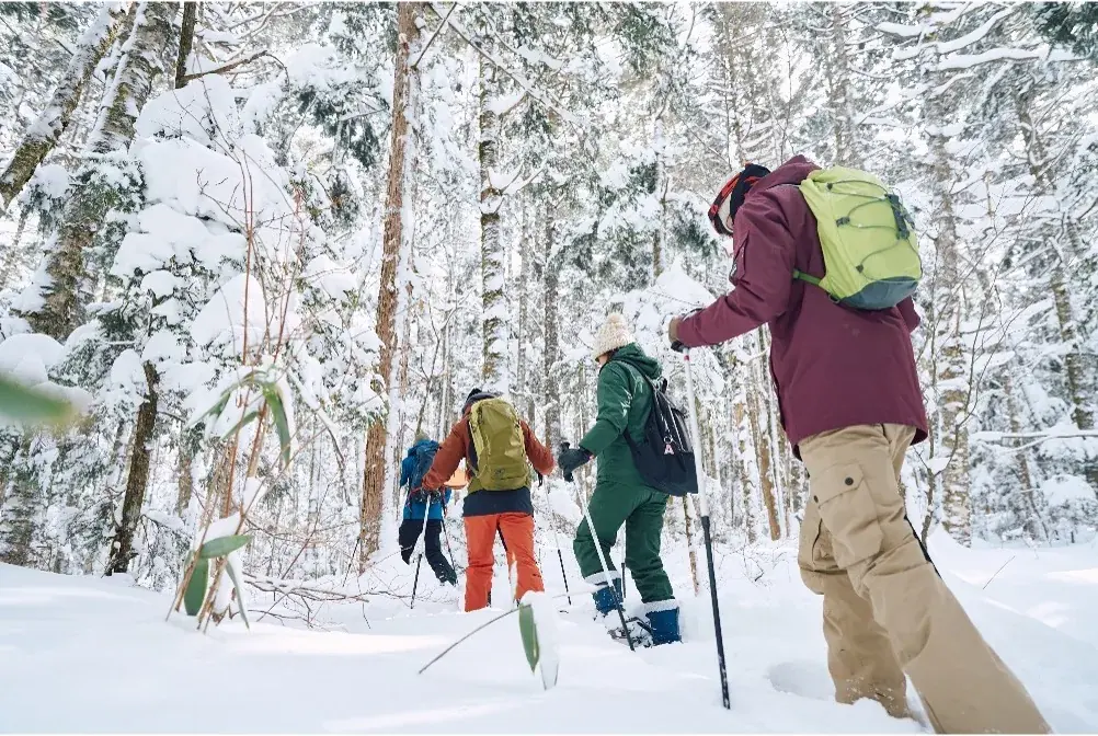 japan winter snowshoe forest group