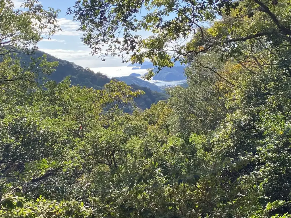 A glimpse of the sea through the trees from Nisaka Pass on the Iseji route