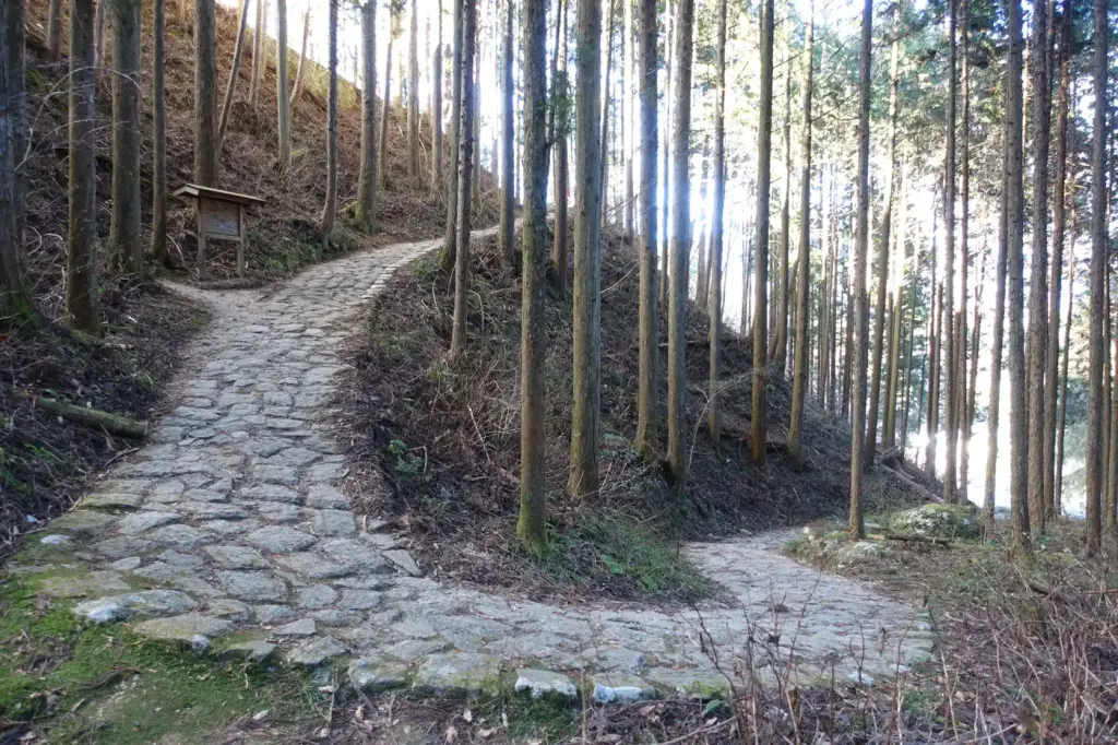 A stone-paved trail winding uphill through a cedar forest on the Nakasendo