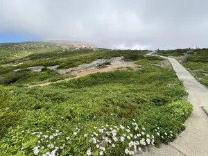 hj-yamagata-onsen-trail-day2-zao-alpine-trail-02